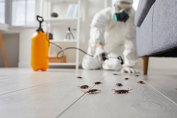 Trusted Cockroach Control service in Miles City, MT - Nex Pest Control